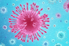 COVID19 virus