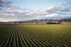 Farmland