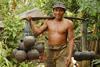 Pak Dawan -Balinese Coconut Palm Tapper