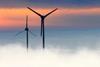 Wind farm