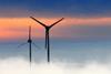 Wind farm