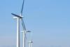 Windfarm