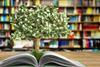 green finance