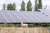 Greenberry solar farm in France for Octopus story March 25