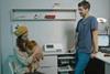 Veterinary Credit Pexels