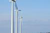Windfarm