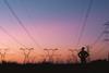 Electricity pylons - Photo- Sean Anthony Eddy, iStock