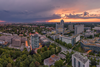Munich