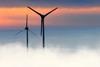 Wind farm