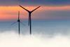 Wind farm