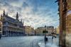 Brussels panorama