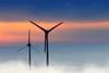 Wind farm