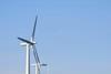 Windfarm