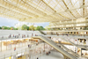 les halles perspective sous canopee