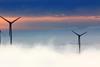 Wind farm