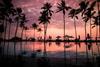 Resort