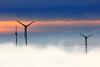 Wind farm