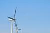 Windfarm