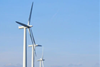 Windfarm