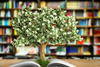 ESG-focused loan