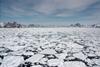 Sea ice breaking up in spring, near Kulusuk, Greenland.