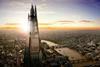 the shard