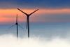 Wind farm