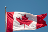 canadian flag web