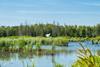 Wetlands, Habay, Belgium, Unsplash
