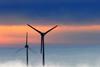 Wind farm
