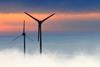 Wind farm