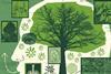 Natural Capital special report