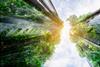 LCBI develops new tool to standardise carbon measurement of buildings across Europe