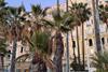 Boulevard de la Croisette in Cannes