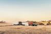 Wheat harvesting in Australia