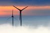 Wind farm