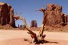Land, water scarcity_LandCredit Pexels
