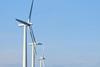 Windfarm