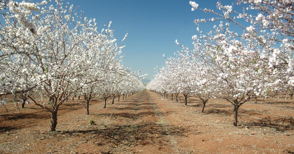 La Caisse launches €184m partnership with GO.FARM to invest in permanent horticulture in Australia