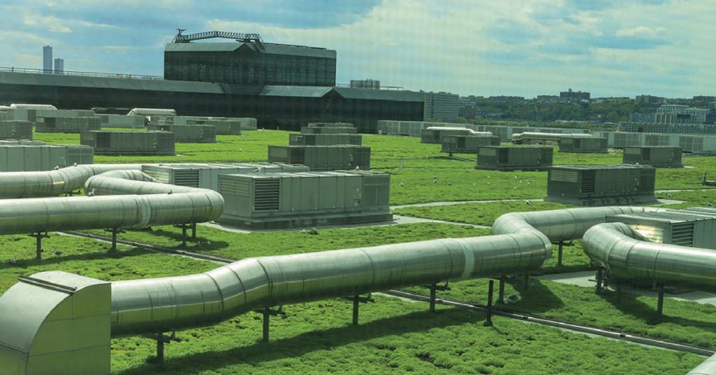 Biodiversity and the built environment Magazine Real Assets