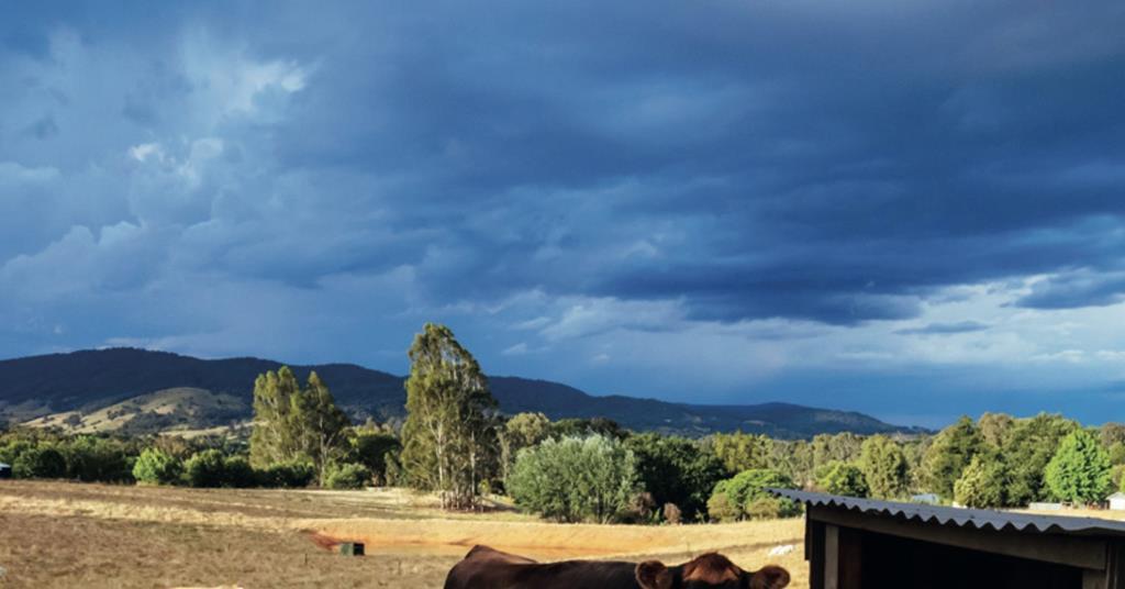 Australia’s CEFC The catalyst corporation Special Reports Real Assets