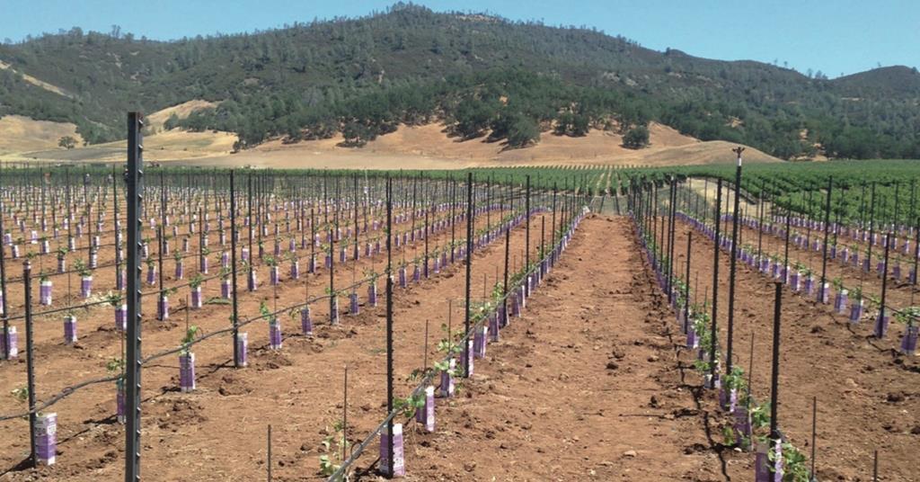 Agriculture and ESG Reap what you sow Magazine Real Assets