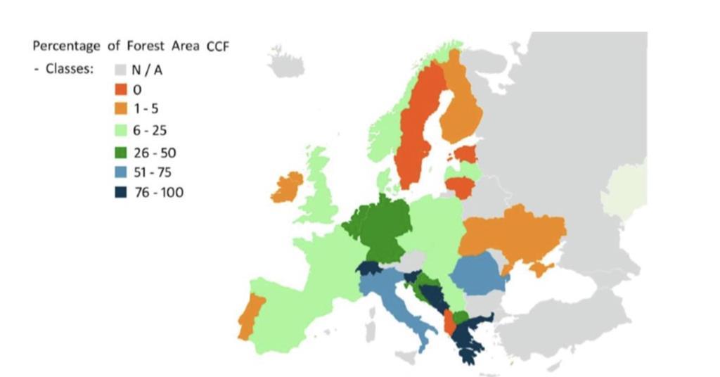 Guest view Balancing nature and timber production in Europe’s forests