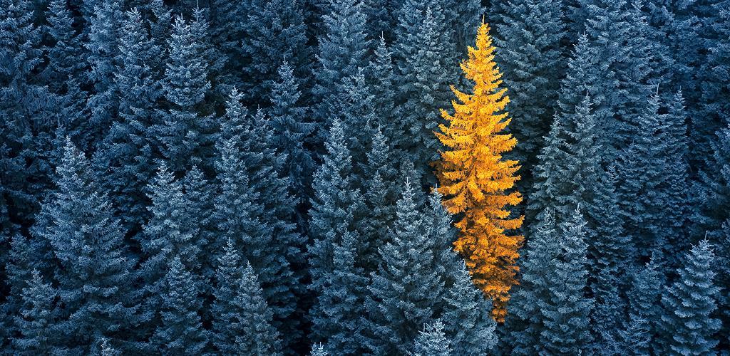 Evergreen Approach EQT launches evergreen infrastructure ELTIF aimed at individual ...