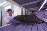 Vertical farm