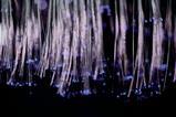 Fibre optic