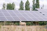 Greenberry solar farm in France for Octopus story March 25