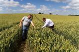 InSoil farmer visit