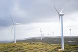 Windfarm
