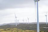Windfarm